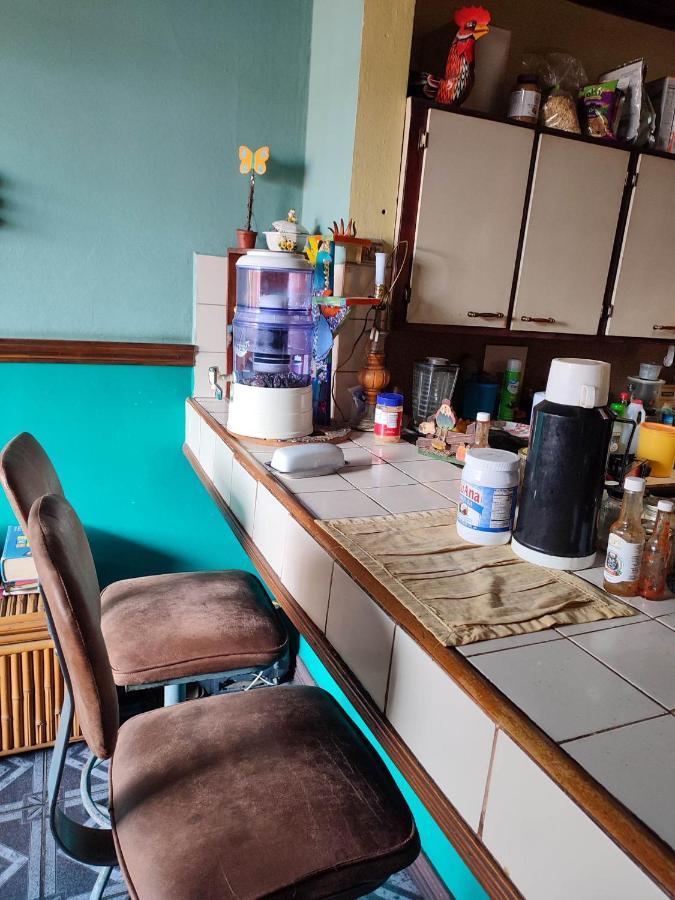 Homestay The Cozy Cactus House Centro Spoken *